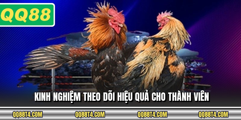 Kinh nghiệm theo dõi hiệu quả cho thành viên